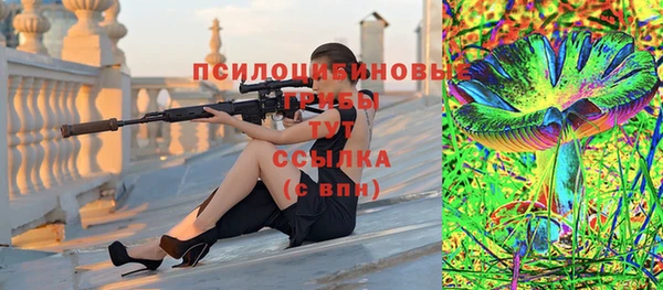 шишки Зеленокумск