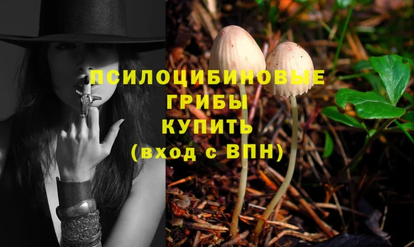 шишки Зеленокумск