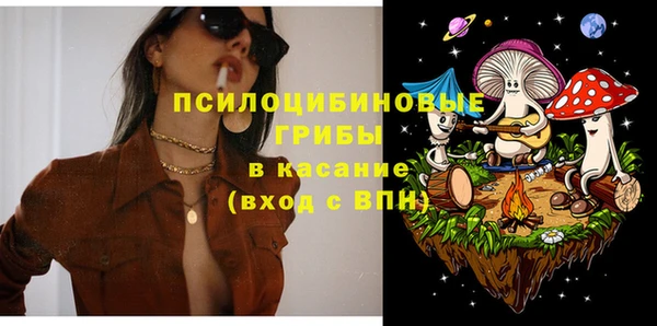 шишки Зеленокумск