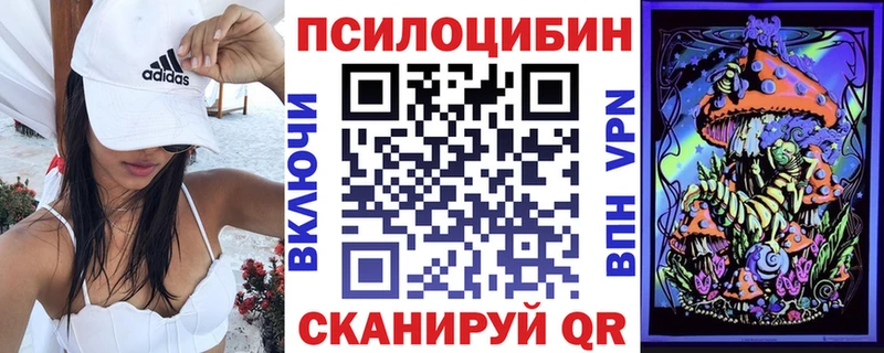 Псилоцибиновые грибы мицелий  Купить закладки  Сураж 